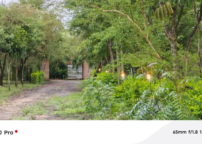 Limas Camp Mikumi