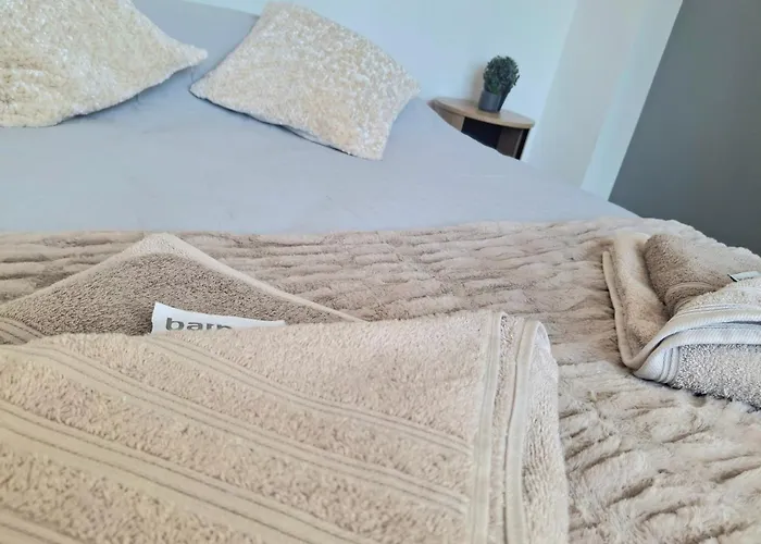La Coloc' Cosy City - Chambres Privees