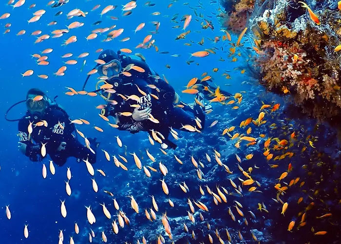 Afro Divers Lodge
