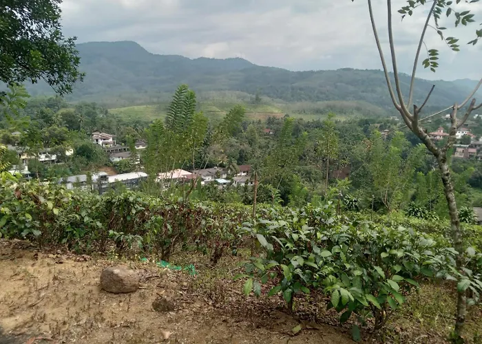 The Orchard Villa