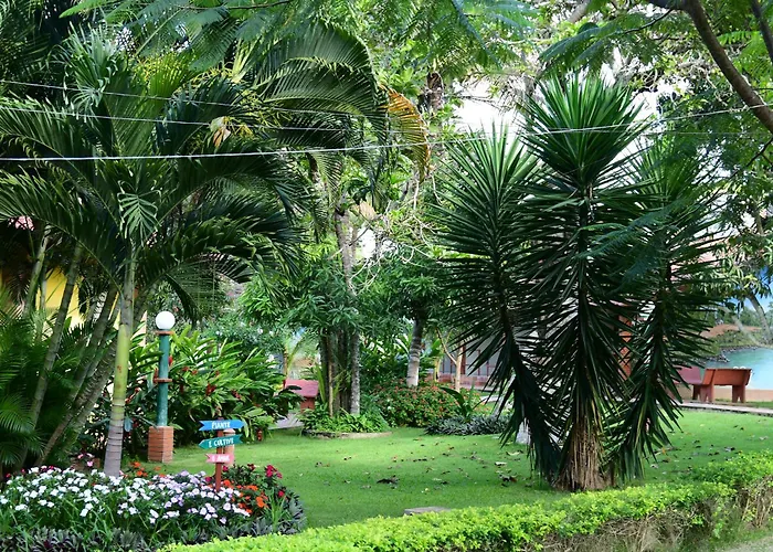 Hotel Serrano Martins