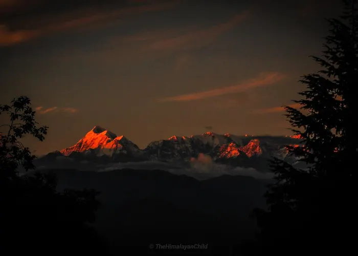 Kausani Cottages