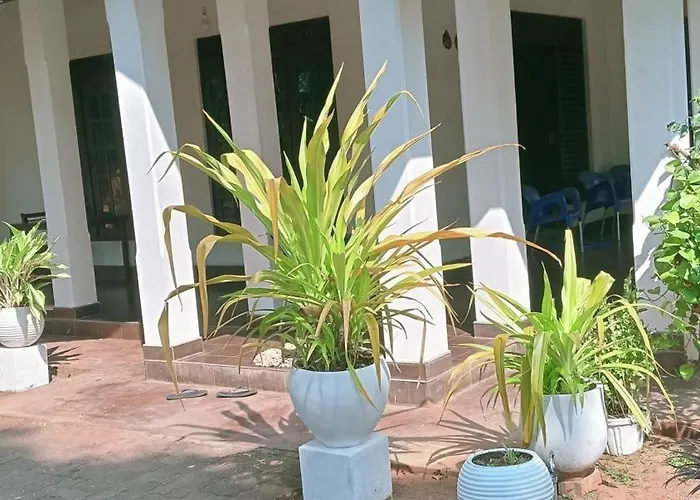 Pasindu Garden