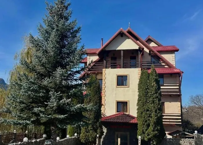 Hotel Braan Draculaa