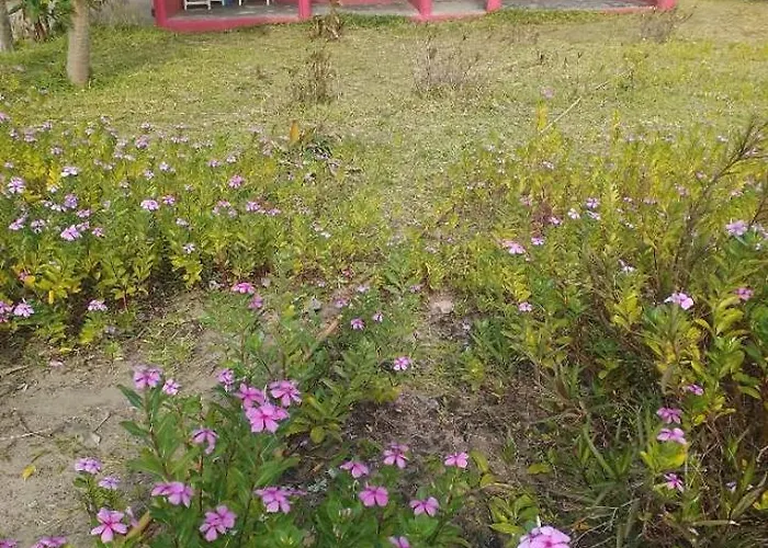 Demba Dou Suites Gardens