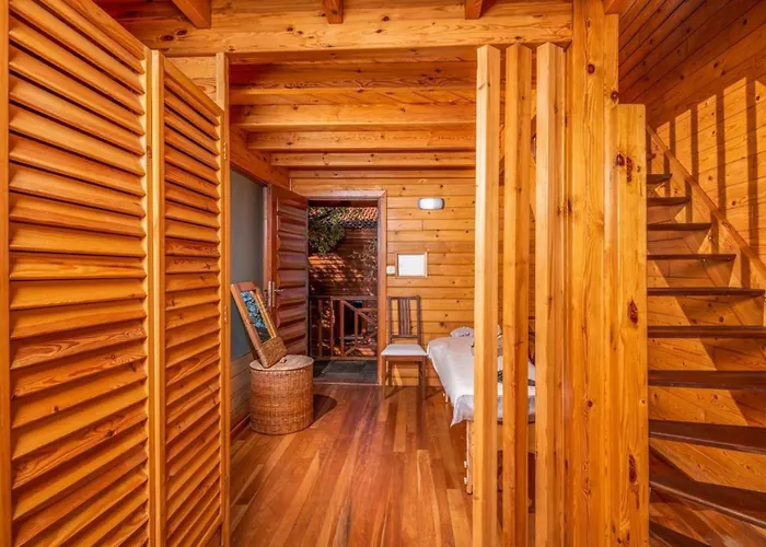 Chalets&SPA à l'eau thermale