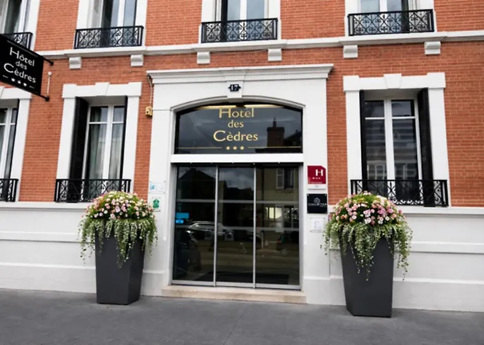 Hotel Des Cedres Orléans