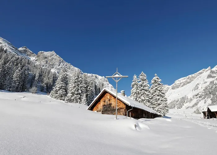Hotel Waldegg - Adults Only