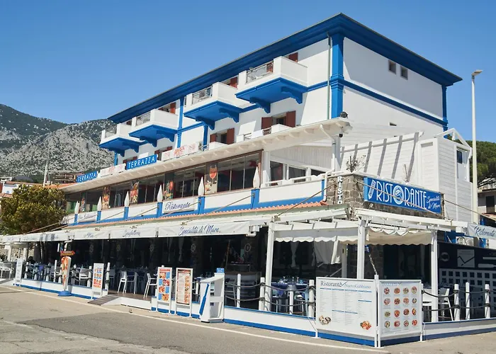 Il Nuovo Gabbiano