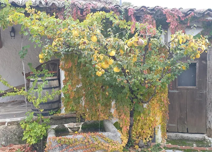 Hotel Labranza