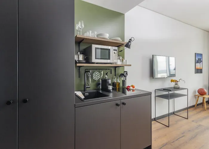 Black F House - Serviced Apartments Freiburg im Breisgau