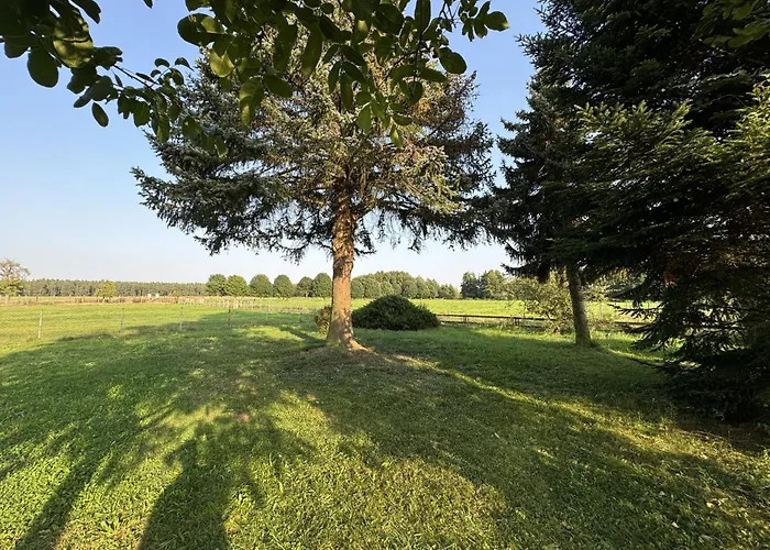 Bed and Breakfast Zur Wildgans Arendsee 