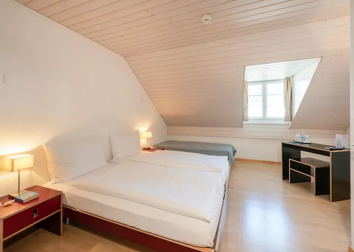 Bären Self Check-in Hotel Solothurn