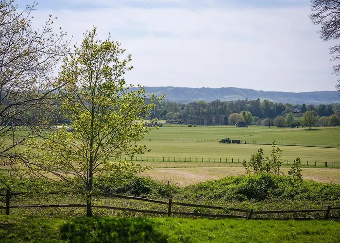 Cowdray Lodge B&B Rooms