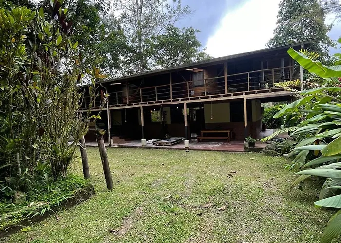 The Temple Ii, Mindo