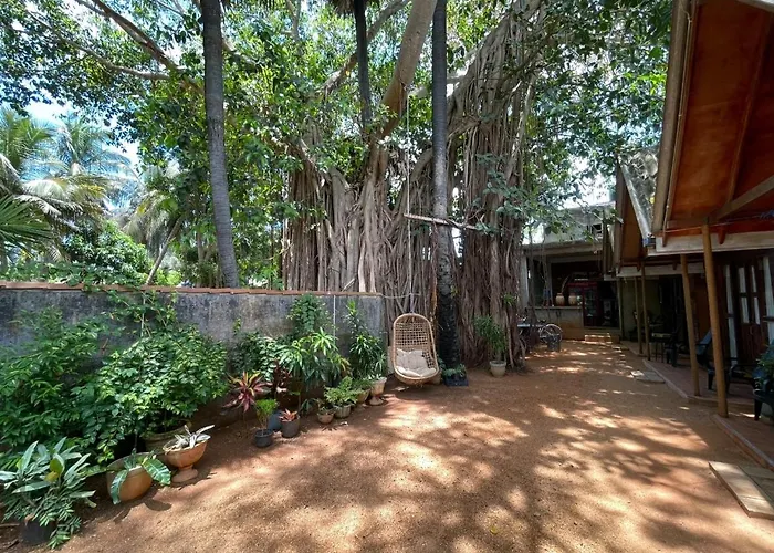 Cool Banyan Cabana
