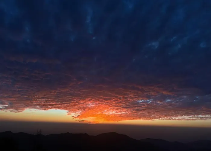 Kasauli Homestay ! By Evening Sky