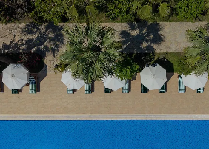Odile Hotel By Naturelife