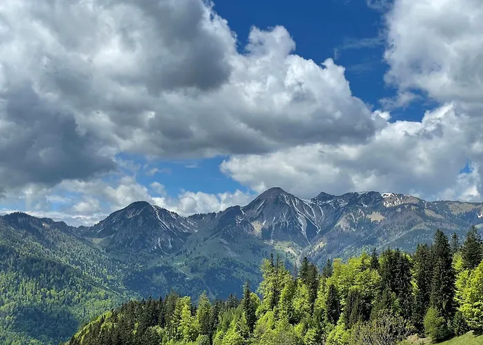 Gasthof Prinzregent Superior