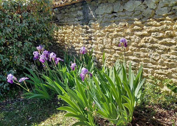 Domaine de l'Echassier, The Originals Relais