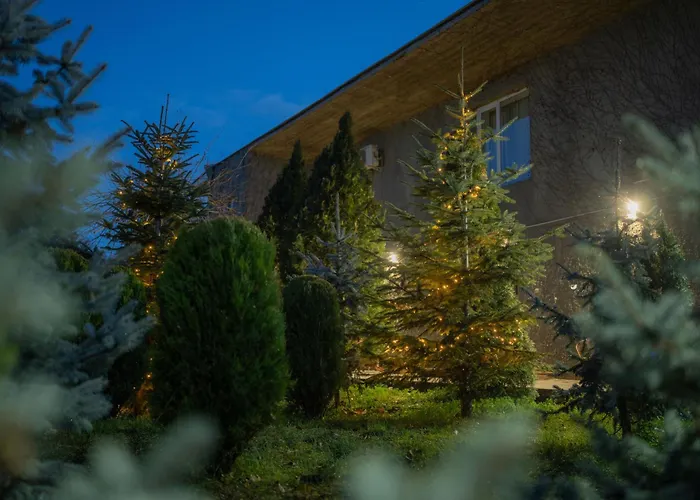 Სასტუმრო Ამელი/Hotel Ameli