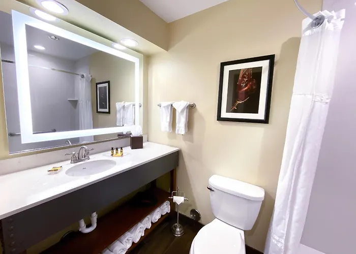 Best Western Plus Inn Of Williams