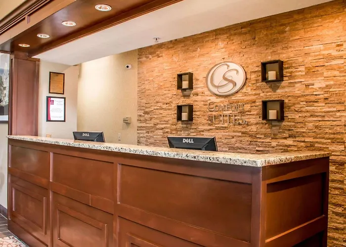 Comfort Suites New Braunfels - San Antonio Area