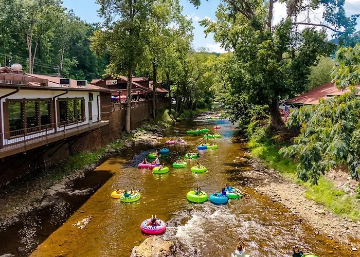 Little Bear Retreat 2