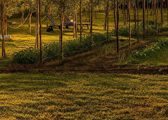 Agri-Resort Luxury Farm