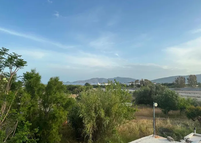 Zografos 2