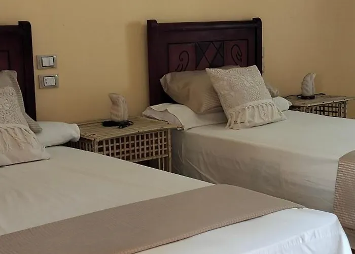 Arkan Siwa أركان سيوة