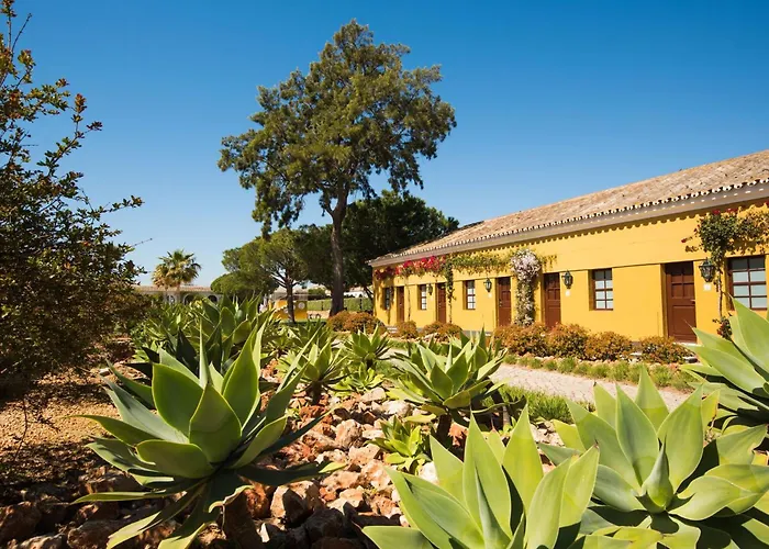 Vila Gale Albacora