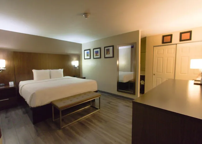 Comfort Suites Tucson Near Sabino Canyon