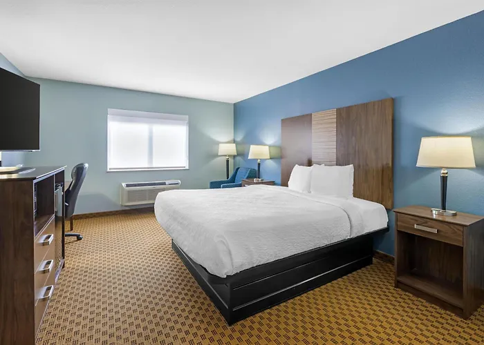 Best Western South Plains Inn & Suites