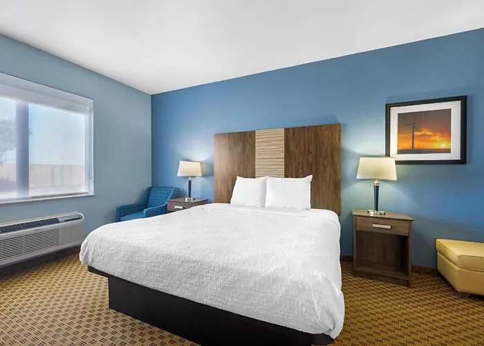 Best Western South Plains Inn & Suites