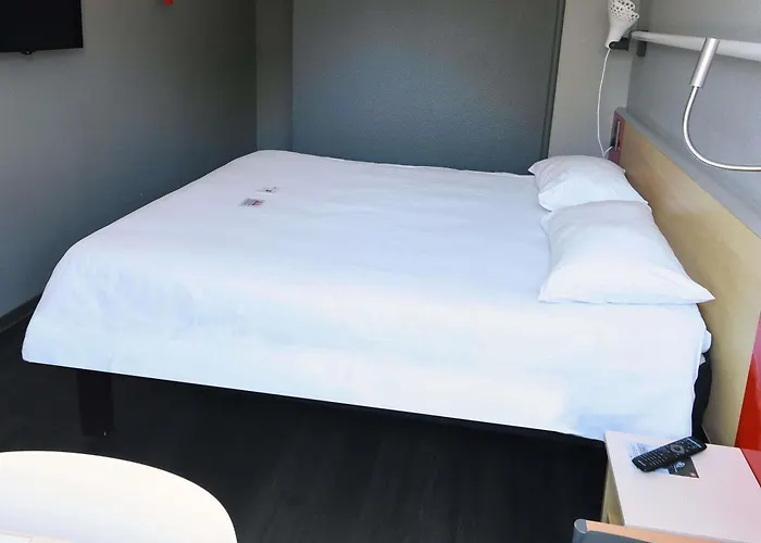 Ibis Saintes