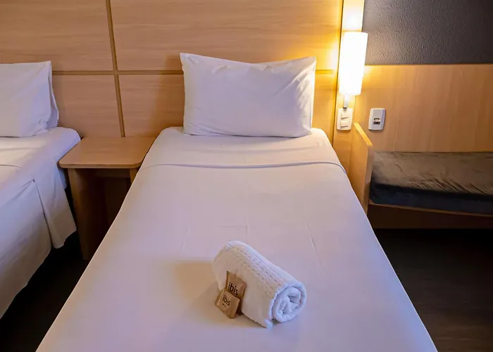 Ibis Macae