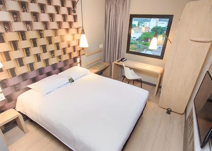Ibis Cucuta