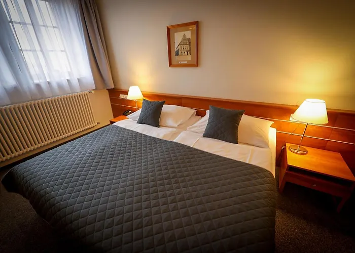 LH Hotel Dvořák Tábor Congress&Wellness