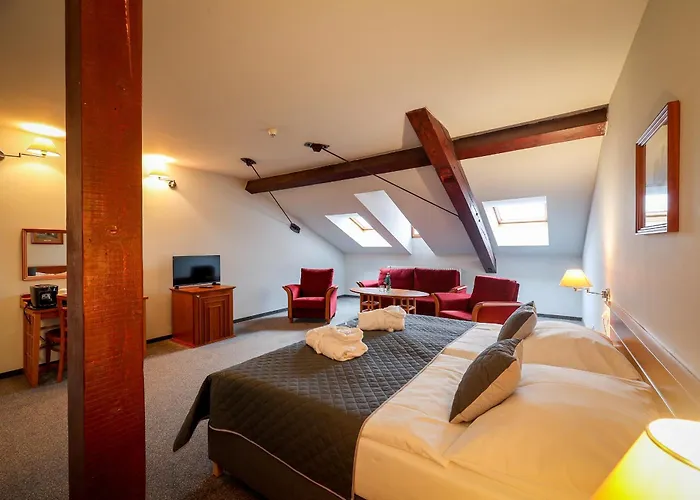 Lh Hotel Dvorak Tabor Congress & Wellness