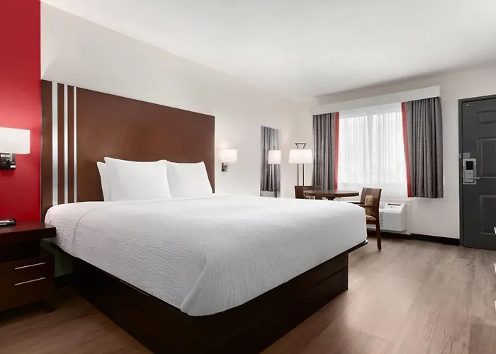 Ramada By Wyndham San Antonio Near Seaworld - Lackland Afb