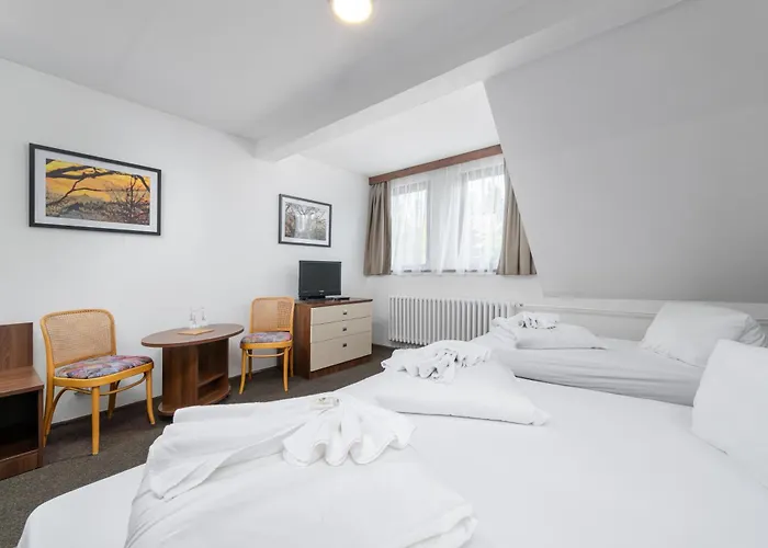 Horsky Hotel Jelinek