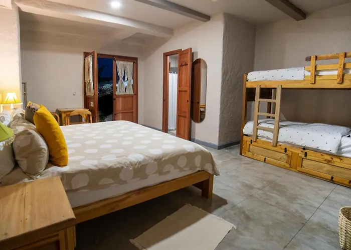 Coffee Tree Boutique Hostel