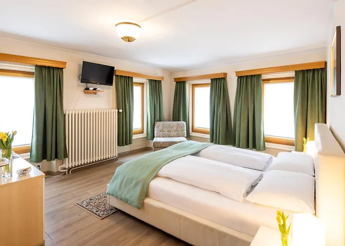 Hotel Alpina