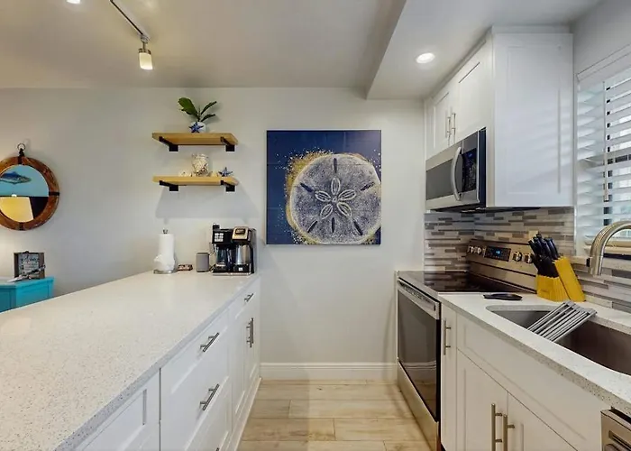 Sand Dollar Marco Island