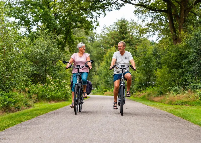 Vakantiepark Witterzomer Assen