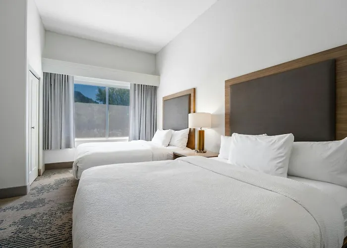 Springhill Suites By Marriott Atlanta Kennesaw