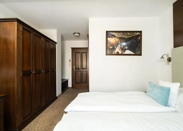 Aplend Wellness Hotel Borovica