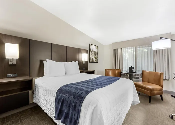Best Western New Oregon Motel Eugene