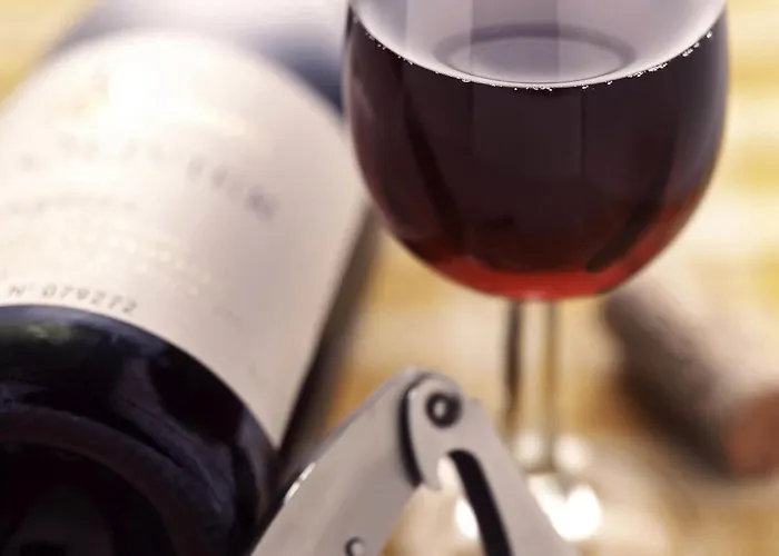 ibis Bordeaux Saint Emilion